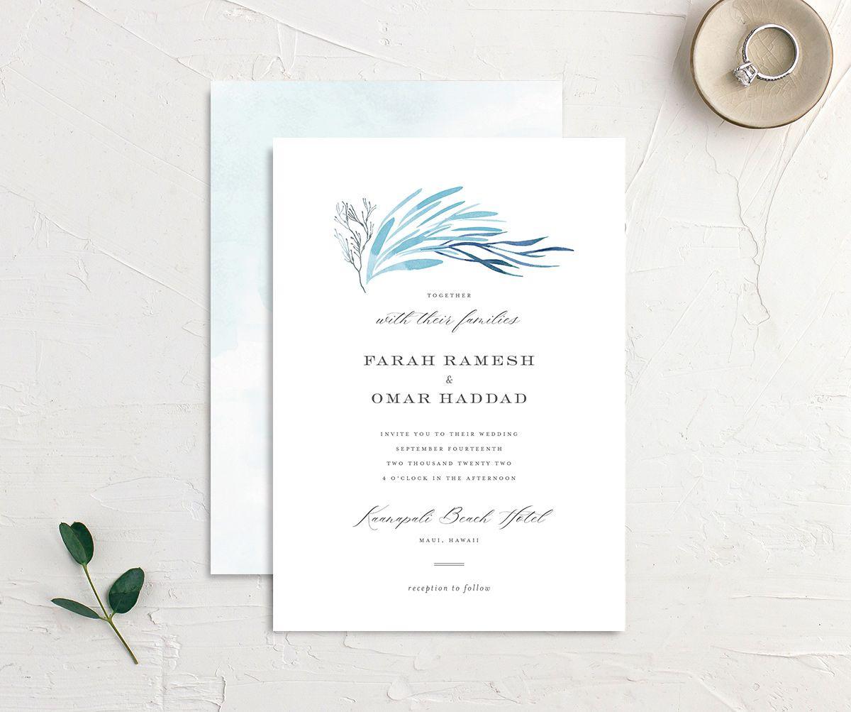 Blue sea kelp illustration at top with elegant type